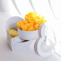 5. Arreglo de 15 Mayordomos RD6,890