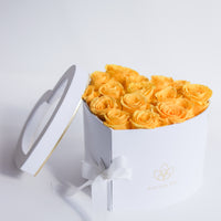 5. Arreglo de 15 Mayordomos RD6,890