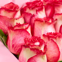 Pink Crown Roses – Arreglo Floral Signature 5,900