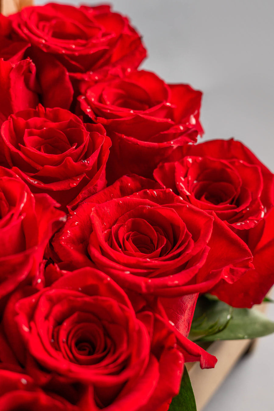 2 .Toque Floral – 12 Rosas Especiales RD 4,890